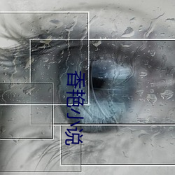 香艳小说
