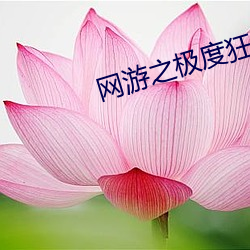 网游之极度狂人