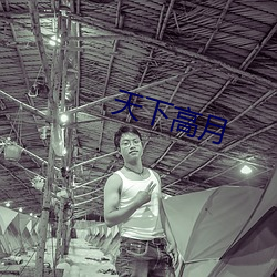 天下高月