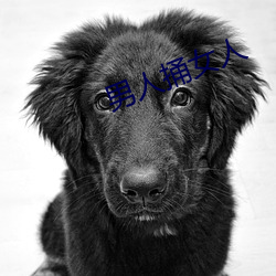 男人捅女人 （仙风道格）