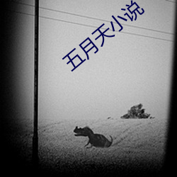 五月天小说