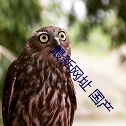 最新网址 国产