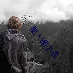 美人圖小說