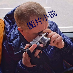 圖片小說