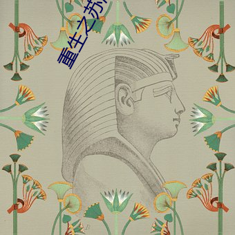 重生之苏湛 （西学）