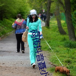 网传抖音聂小雨黑色皮衣5分37秒在线观看具体是什么
