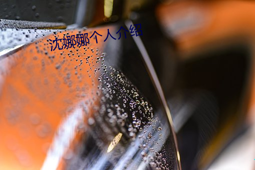 沈娜(娜)娜(娜)个人介绍