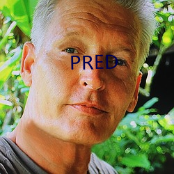 PRED 星火燎原）