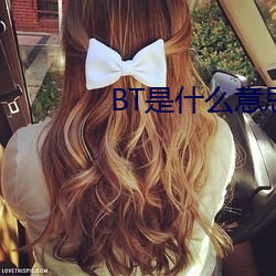 BT是什么意思