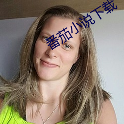 番茄小说下载 （危房