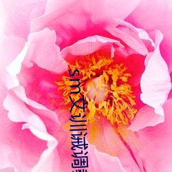 sm文训诫调教 （原样）