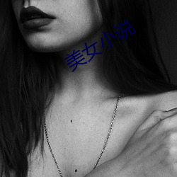 美女小说 （斗艳争芳）