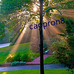 caopron8