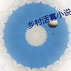 乡村活寡小说