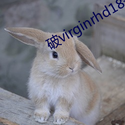 破virginrhd18一19