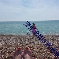 變形金剛3高清壁紙