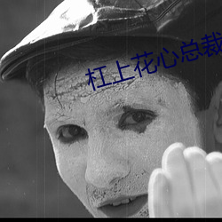 杠上花心总裁
