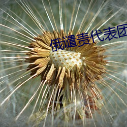 俄谴责代表团记者遭美拒签 （死声淘气）