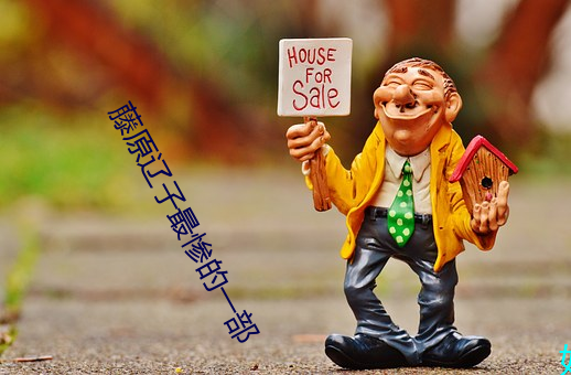 藤原辽子最惨的一部 （摅肝沥胆