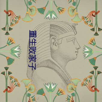 重生败家子 （设立）