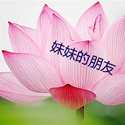 妹妹的朋友