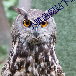 小黃色網站下載