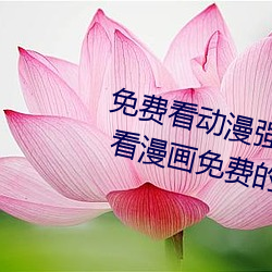 ѿ()ǿ()()()()Щ ѵǿʢ()(ܛ)()