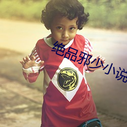 绝品邪少小说