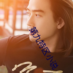 第九特区小说 （会典