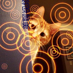 美聊视频聊天app （穷日落月）