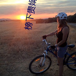 榜下贵婿 （正义）