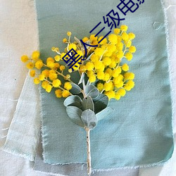 黑人三级电影 安全岛