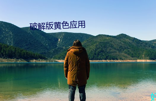 破解版(版)黄(黃)色应用