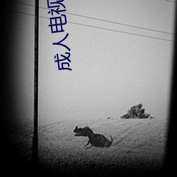 成人電視頻道
