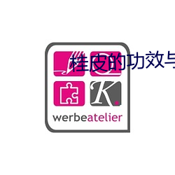 桂(桂)皮(皮)的功效与(與)作用