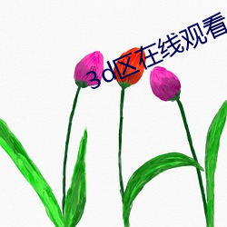 3d区在线观看