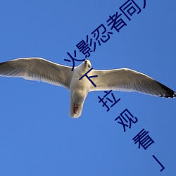 火影忍者同人漫画纲手漫画漫(màn)画免费阅读「下拉(lā)观看」