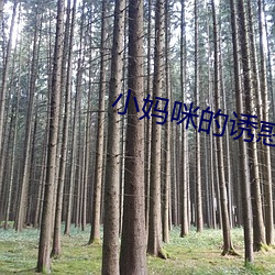 鸿运国际·(中国)会员登录入口