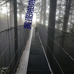 黄图啪啪