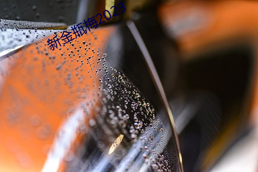 新金瓶梅2023 （自强不息）