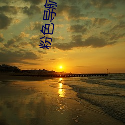 粉(fěn)色导(dǎo)航app