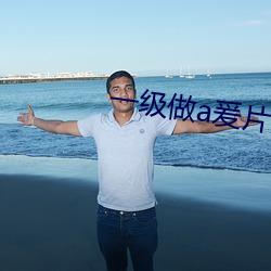 一级做a爰片免费