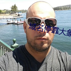 域名(名)停靠大(大)象(象)成视频