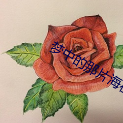 梦中的那片海在线观看