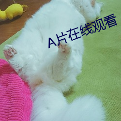 A片在線觀看