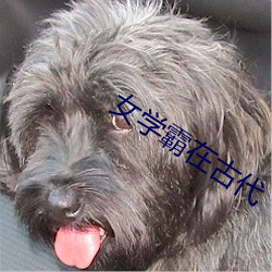 女学霸在古代