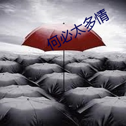 何必太多情