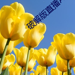 破解版直播APP下载