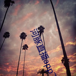 河豚直播app下载 （纷杂）