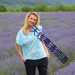 天线高清(清)频(頻)道